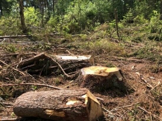 ФОТО СУ СК РФ