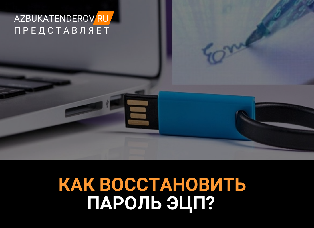 Пароль ЭЦП: как узнать пароль и что делать, если его забыл? | Азбука  тендеров | Дзен