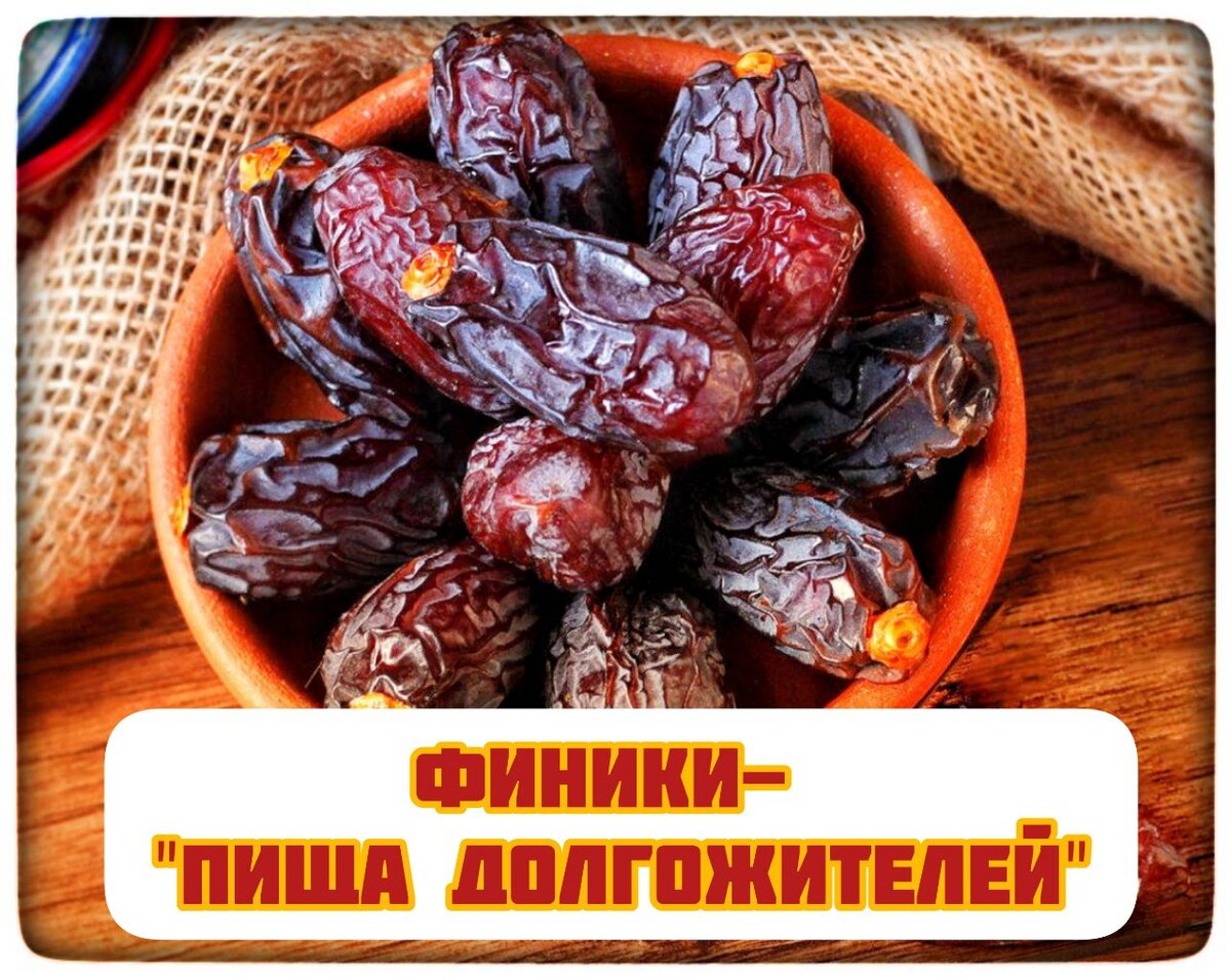 Финик жив. Финики живые. Date еда. Финик логотип. Какая польза от фиников.