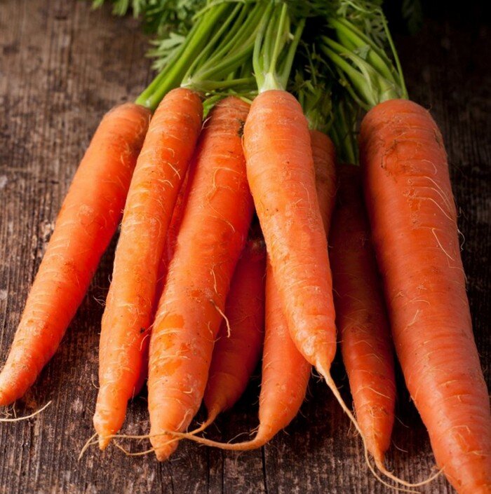 Чтобы морковь была крупная, ровная и росла быстро, ее правильно поливают.Как это сделать: правила полива по мере роста моркови