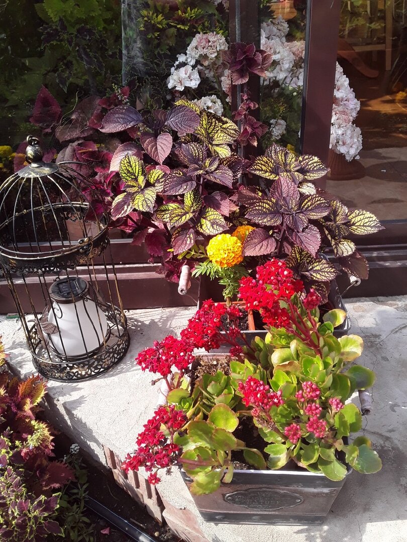 "Железяки" на крыльце