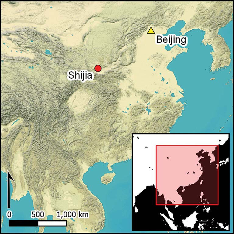   Сhengrui Zhang et al. / Antiquity, 2023