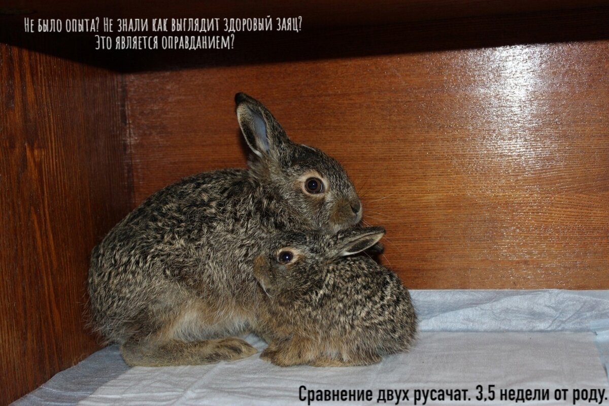 -1-3