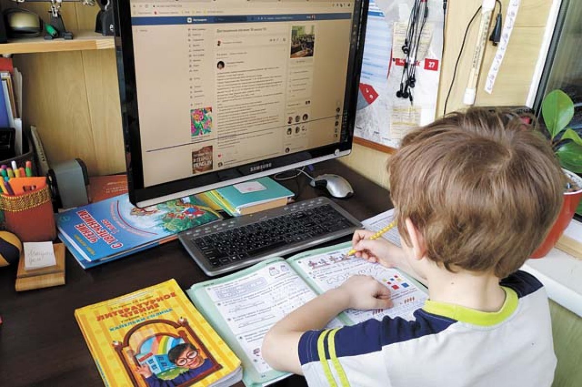    В Новосибирске бастующие третьеклассники перешли на заочное обучение