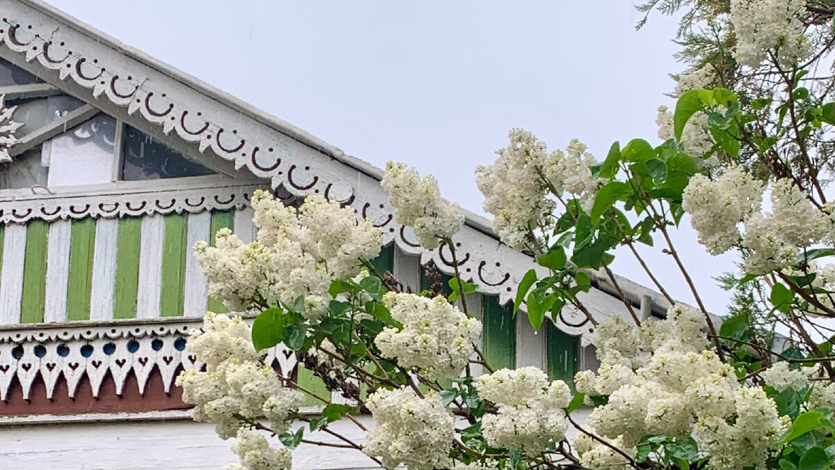 Домик окнами в сад, там, где ждёт меня мама... Фото автора канала