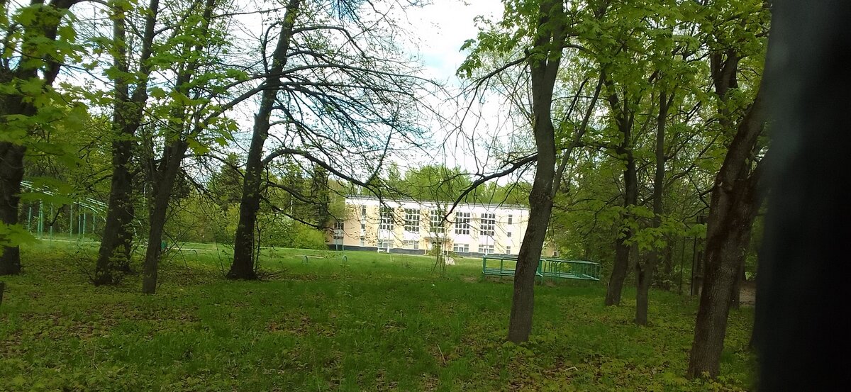 Это уже моё фото . Заросло всё, что могло зарасти...