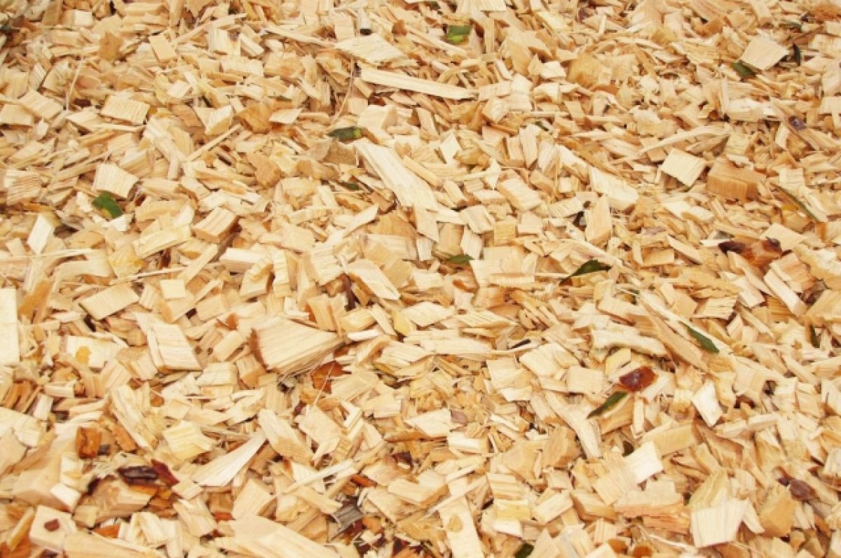    Из Хабаровского края в Китай отправили первые партии щепы