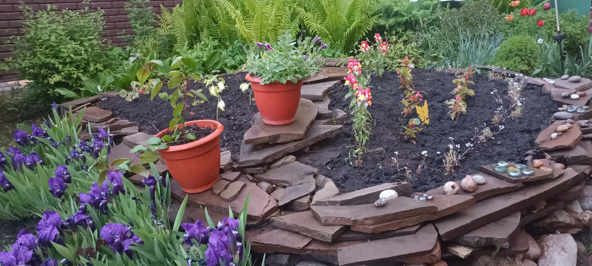 Клумба с однолетниками