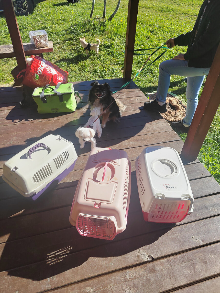 К поездке готовы