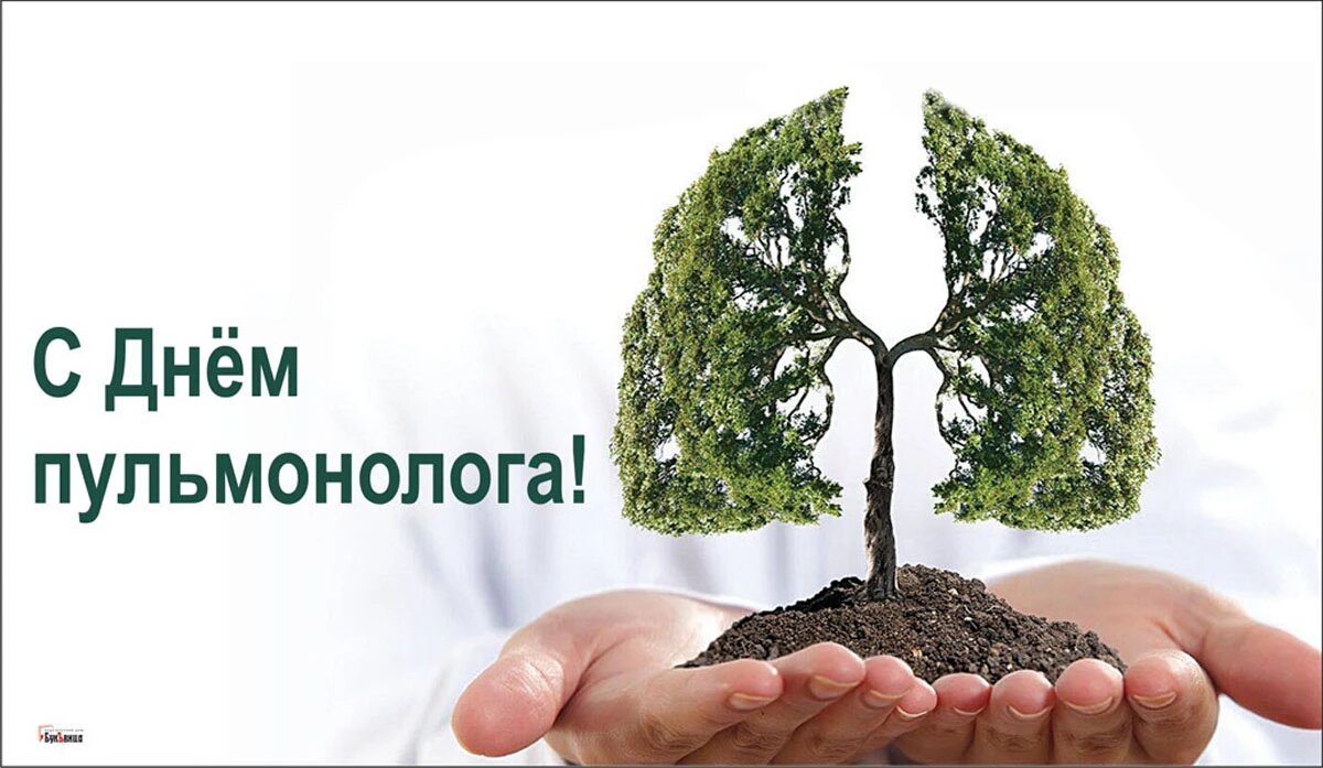 День пульмонолога. Иллюстрация: «Весь Искитим»