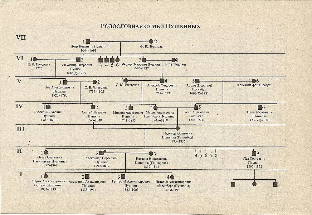 Рисуем дерево в Visio - Генеалогический форум ВГД