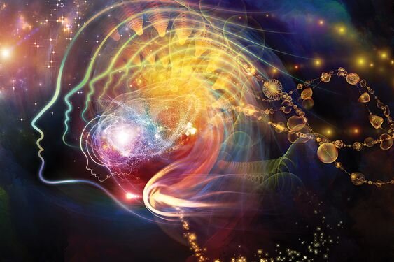 Структура человека. Как все устроено? 