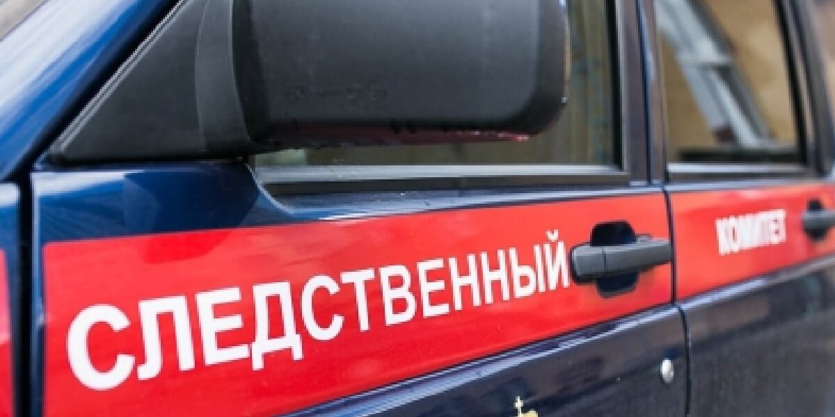 Фото: с сайта СК РФ (https://mosobl.sledcom.ru/upload/site37/document_news/5-(22)-418×320.jpg)