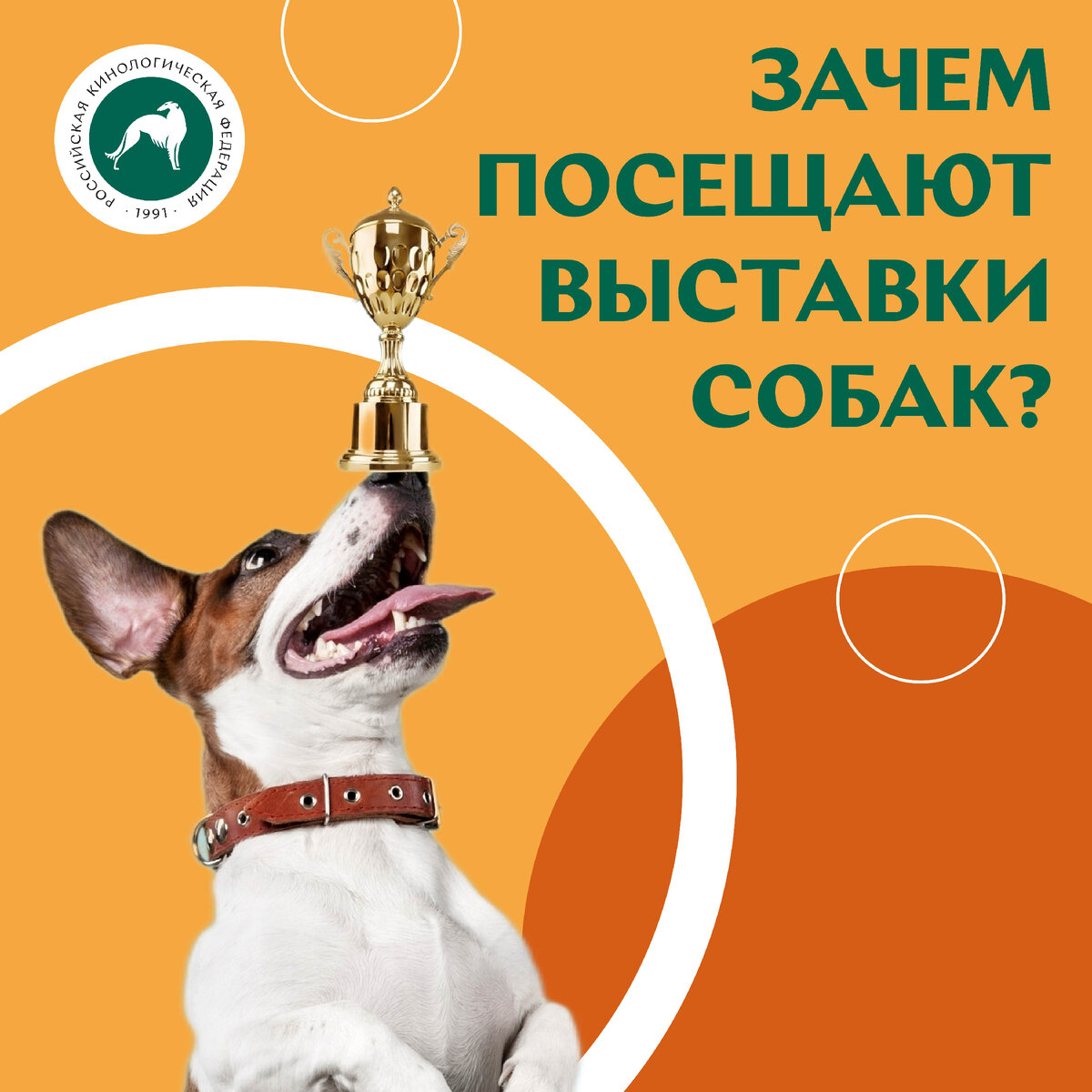 Все о выставке собак «Россия» 