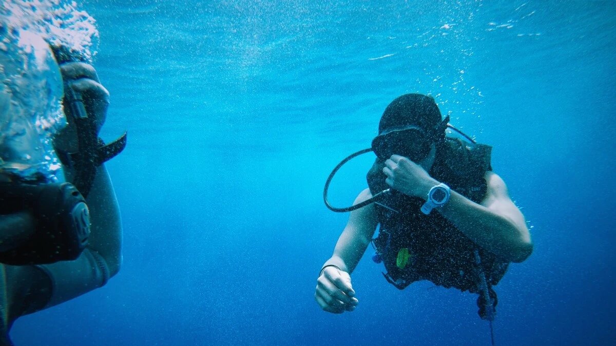 Фото: pxhere.com