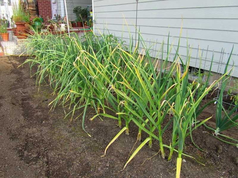 Источник:https://adfarm.ru