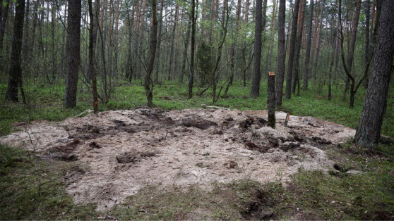    Минобороны Польши: найденная под Быдгощем ракета попала туда случайно Алина Городниченко