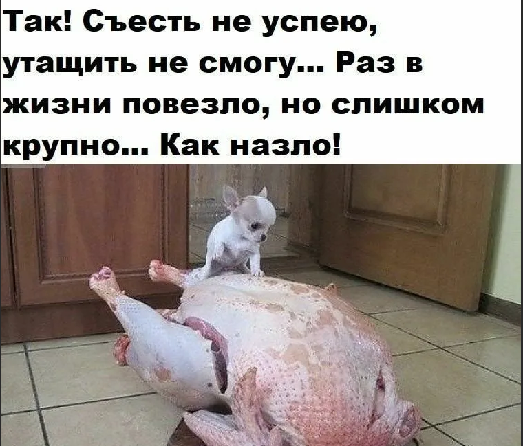 Не повезло картинка