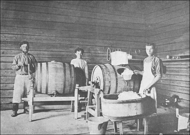 
История возникновения сыра покрыта легендами и правды не сыскать, поэтому не будем зацикливаться на археологических находках, а сразу перейдем почти что к современности. Справедливости ради, отметим, что этот продукт действительно древний - археологи нашли остатки сыра возрастом более 3 тысяч лет около шеи и груди нескольких мумий, захороненных в пустыне Такла-Макан, расположенной на северо-западе Китая