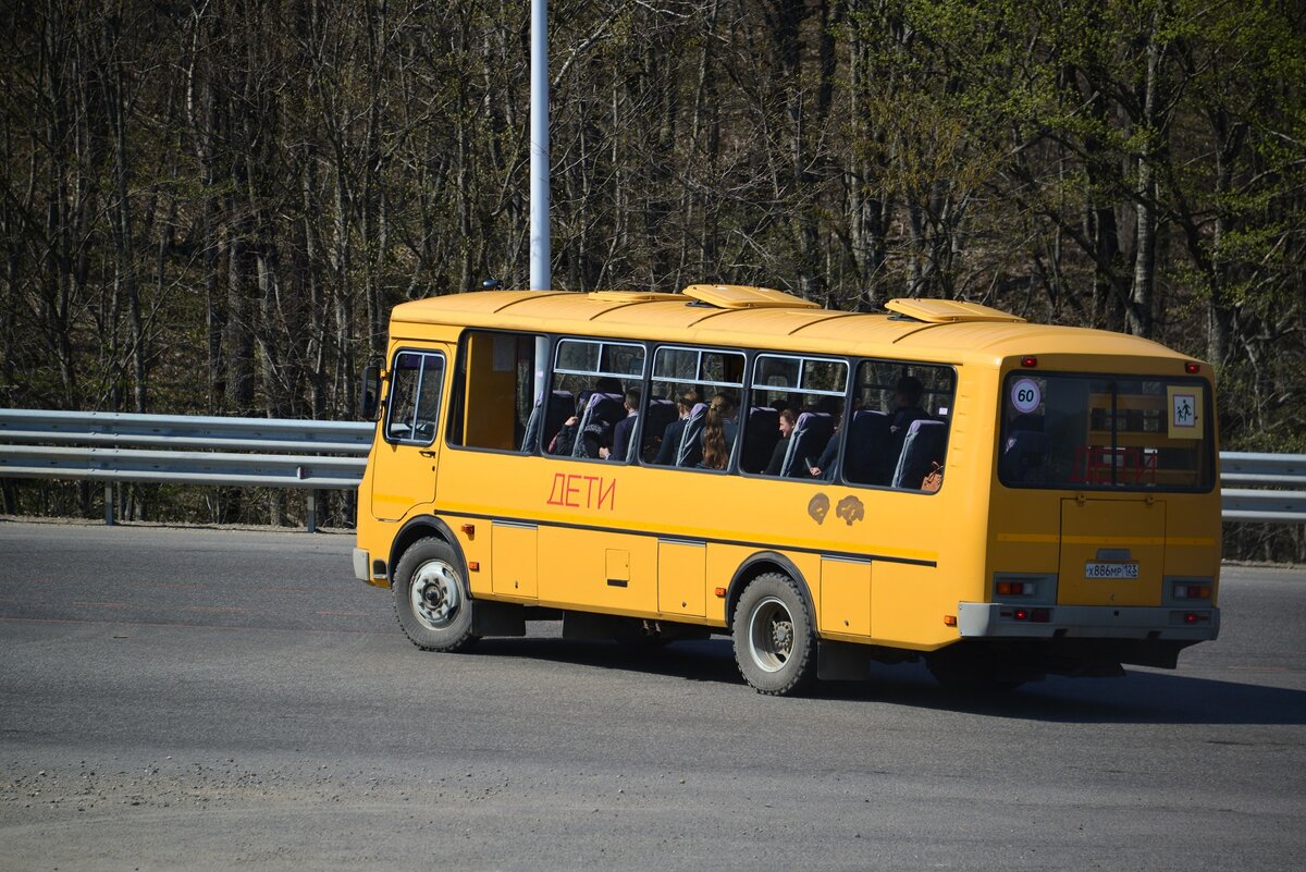 В России детские автобусы получат жёлтые мигалки | Автопортал 