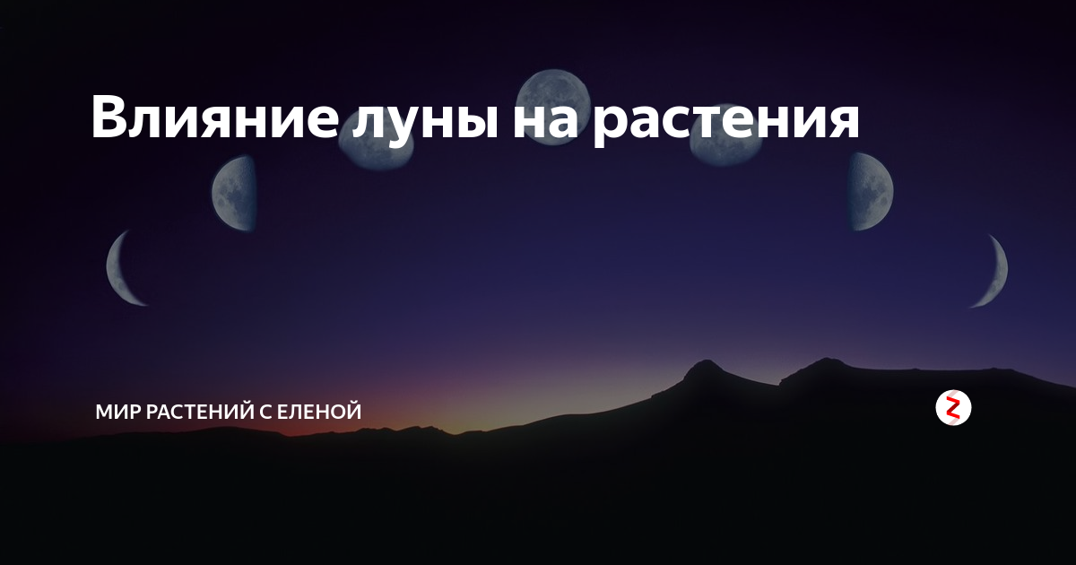 Влияние луны на рост и развитие растений проект