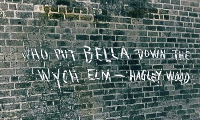 После ужасной находки надпись «Кто спрятал Беллу в ведьмином вязе?» стала появляться повсюду