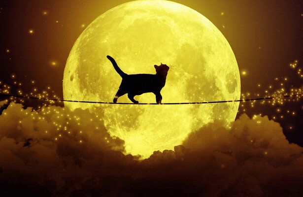 Несмотря на то, что мы живем в 21 веке, многие люди до сих пор придают огромное значение тем или иным приметам и суевериям, которые, по их мнению, способны как улучшить наше состояние, так и, напротив, всячески испортить наше существование. И даже если вас не испугать разбитым зеркалом, то все равно следует внимательнее относиться к тому, что происходит вокруг вас. Вдруг именно из-за этих мелочей у вас все идет наперекосяк? Разбираемся с основными приметами, которые возникли в результате многовековых наблюдений за здоровьем человека и его психическим состоянием.