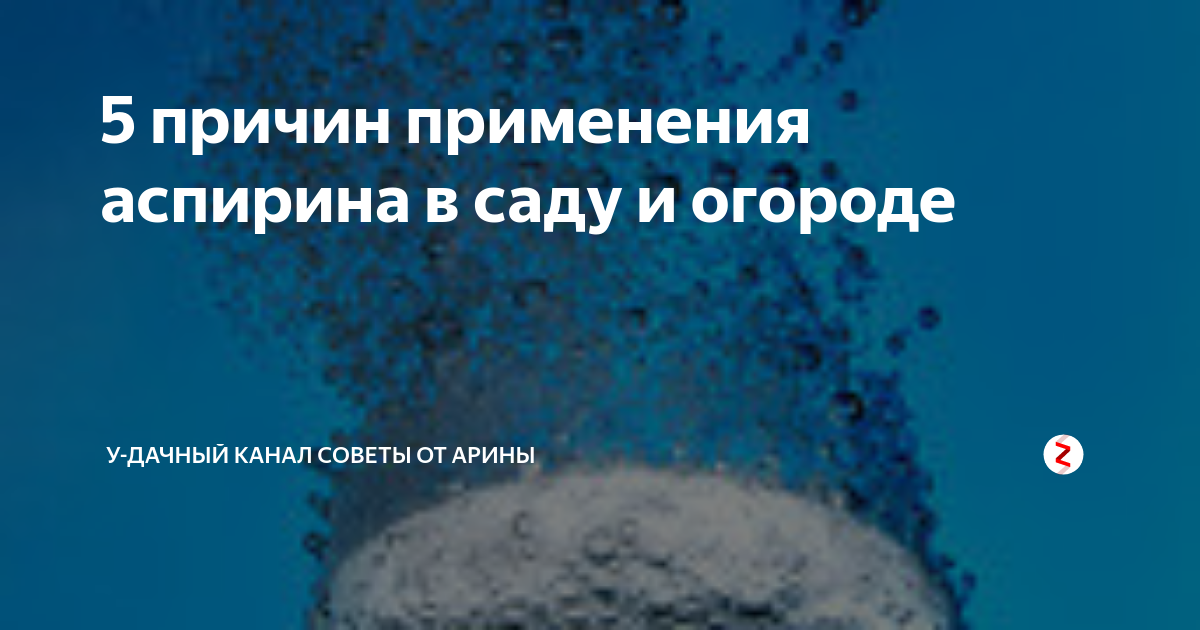 Аспирин в саду