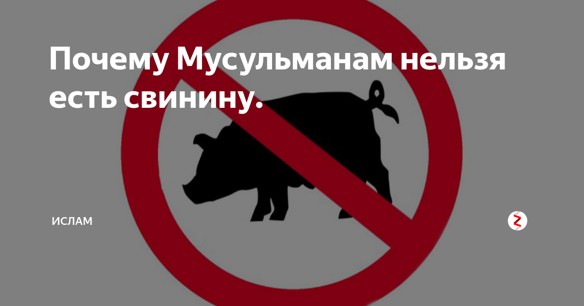 Почему мусульманам нельзя свинину. Почему мусульманамнельз свинину. Мусульманам запрещено есть свинину. Почему мусульманам нельзя есть свинину. Каких животных нельзя кушать мусульманам.