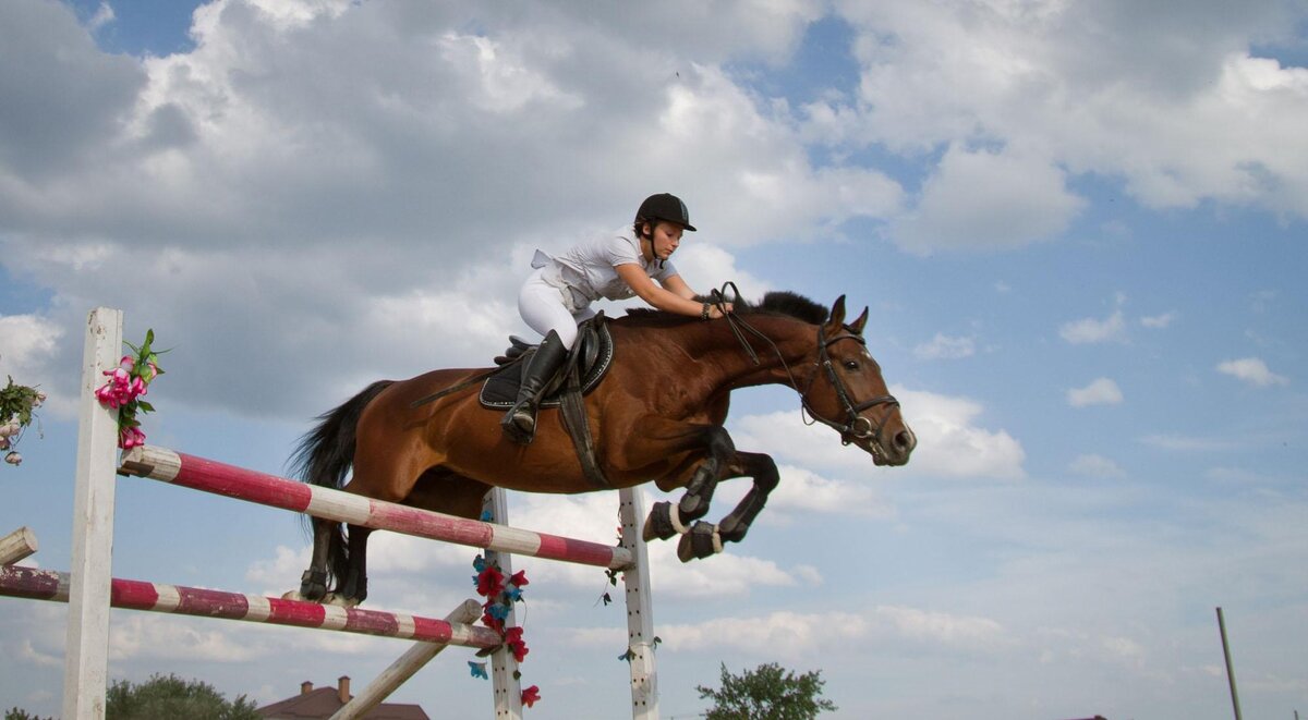 Конкур - пожалуй самое травмоопасное направление конного спорта.