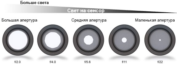 Обзор объектива Таир 3ФС F4.5 300 mm