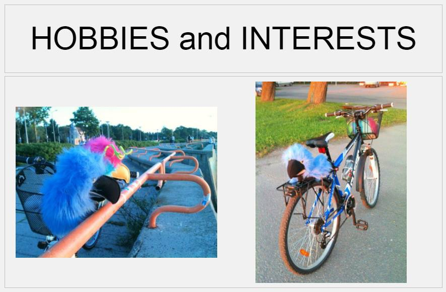 Гиацинтовый (голубого цвета) - это Alistair, президент волшебной страны, а райская птица рядом с ним, the Bird of Paradise - это его жена, Zoe. На фото они на выгуле, смотрят на море. They are practising mindfulness ) 