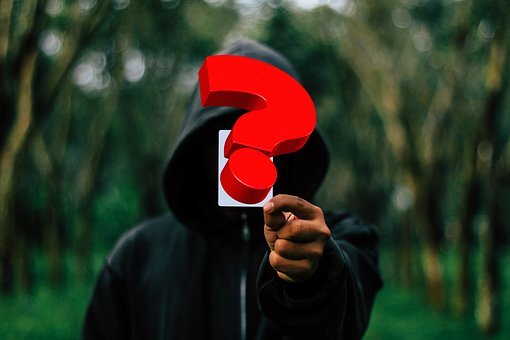 Источник фото: pixabay.com 