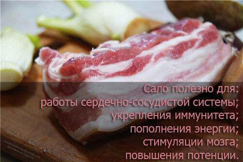Фото 2. Сало обладает огромным множеством полезных свойств