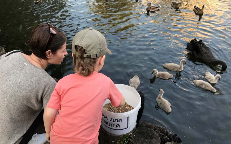   С сайта: vesti-matushkino.ru 