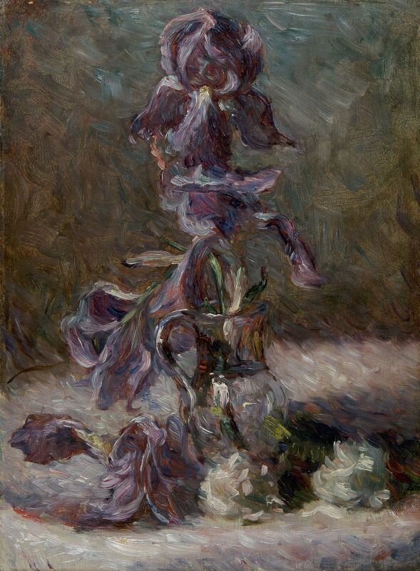 Мари Бракемон, «Ирис в вазе» (1886)