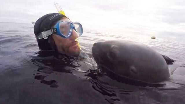 Скриншот/Julián Bala/facebook.com