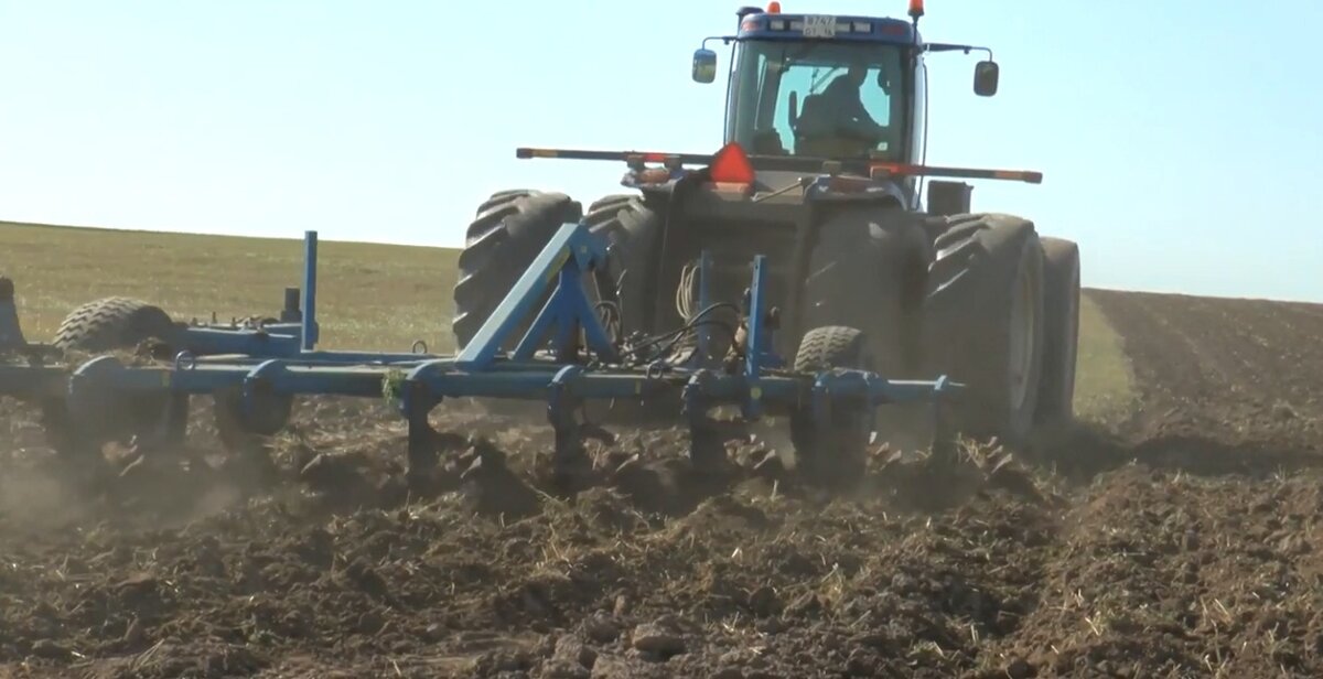 Поэтому зяблевую вспашку проводят осенью на ранних сроках. Это приводит к заметному улучшению пахотного слоя. От этого зависит и будущий урожай.