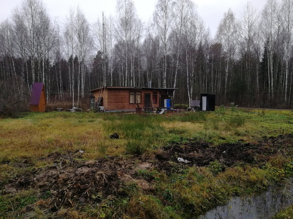 Участок соседи разрабатывают на болоте несколько лет, почему заброшенный  соседний, с домом  не купят, не понятно