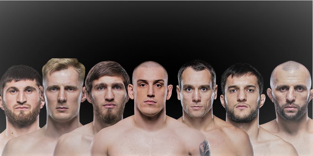 Последние успехи наших бойцов и активное развитие ведущего промоушена MMA в российском сегменте, заставляют пристальнее присмотреться к представителям нашей страны в данной лиге.