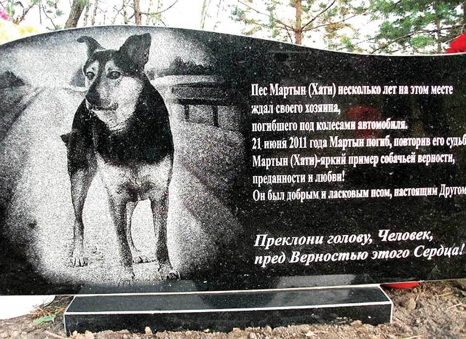 Хатам имя. Памятник верному псу. Стихи посвященные собаке. Памятник собаке. Надписи на памятниках животным.