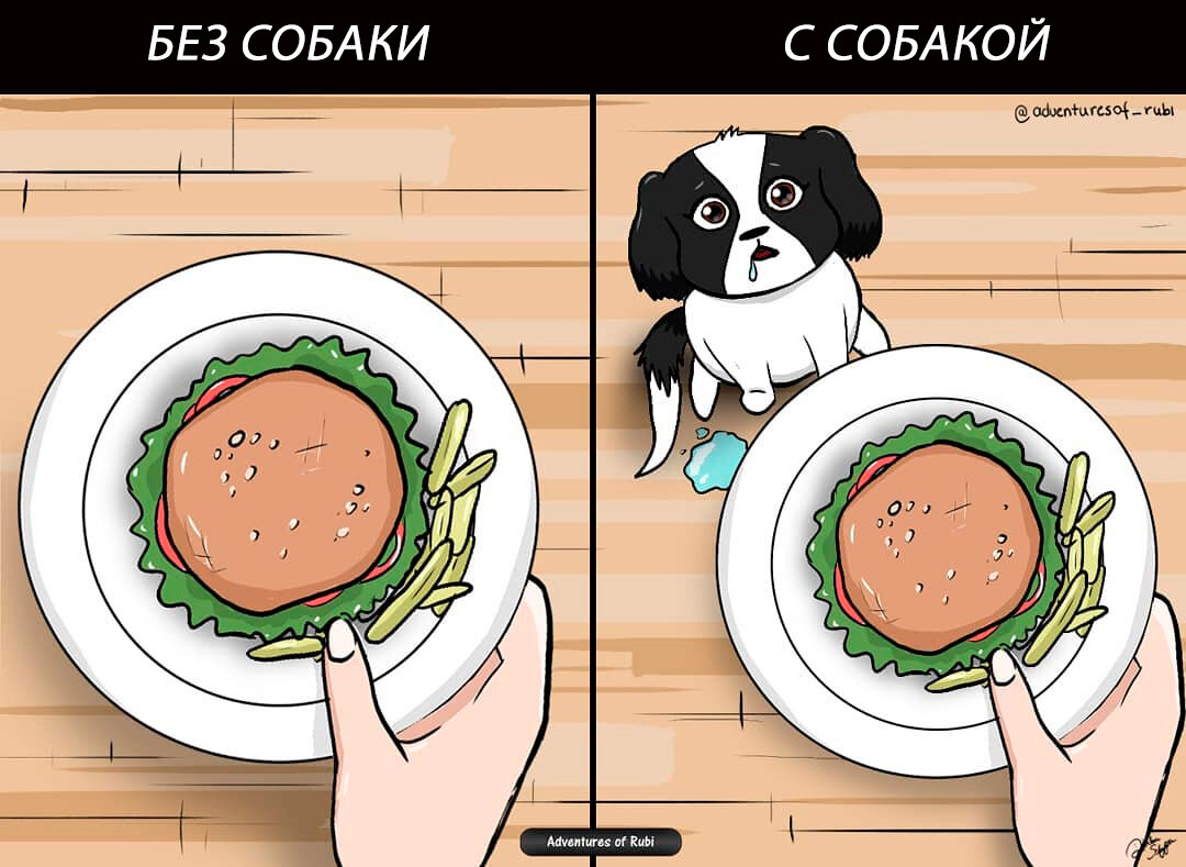 Dog в рубли. Комиксы про собак. Смешные комиксы про собачек. Пес комикс. Комиксы о жизни пород собак.