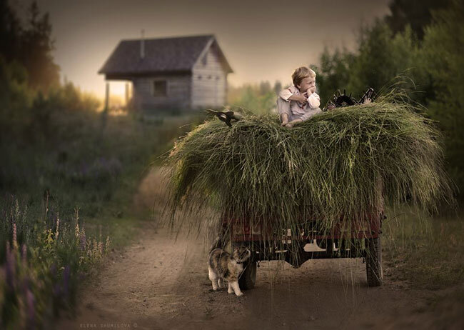 источник фото https://yandex.ru/images/  автор фото прекрасная Елена Шумилова