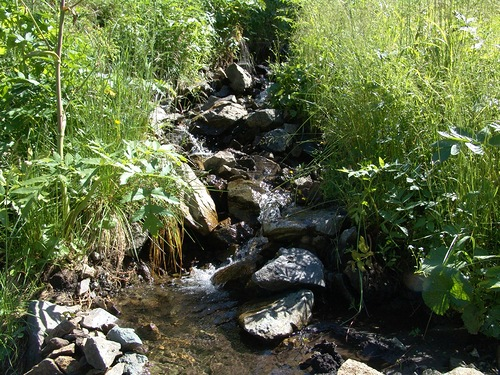 Иллюстрация на тему ""Электрический" ток эфира" ( источник изображения http://turizm.lib.ru/k/kwachew_l_j/kukuya-inya.shtml)