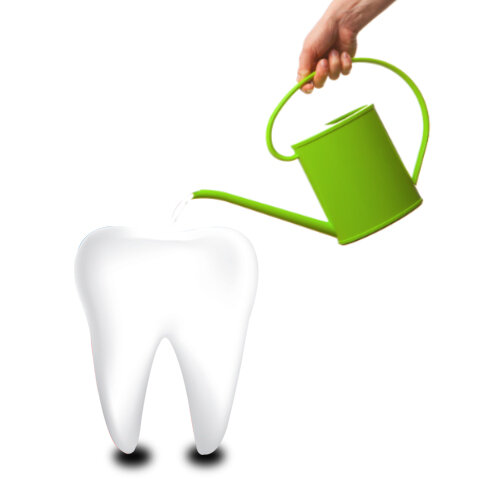 Выращивание зуба. Коллаж автора.