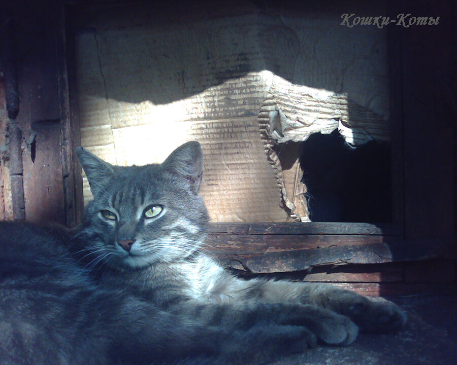 А у меня перерыв. Идите туда.