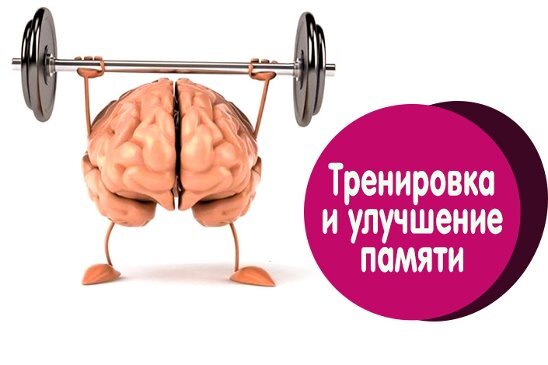 изображение из сети интернет и в свободном доступе
