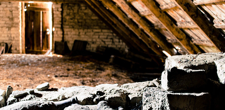 Фото: pixabay
