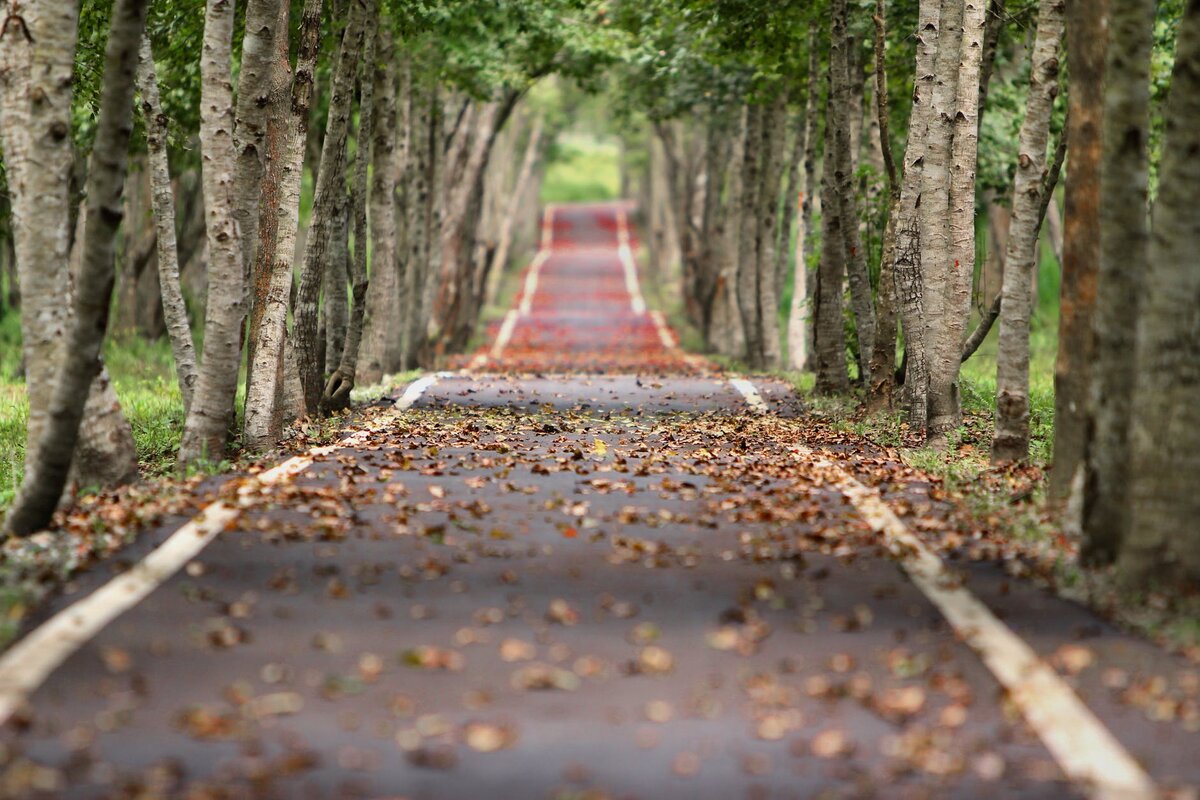 фото с сайта www.pexels.com