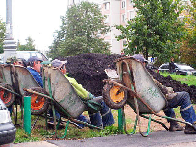 Источник фото: Яндекс Картинки